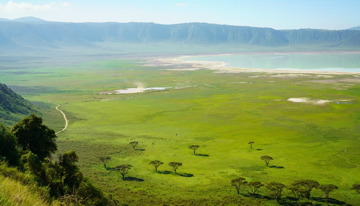 Mara game drives